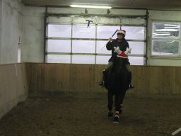 IMG_2981_web